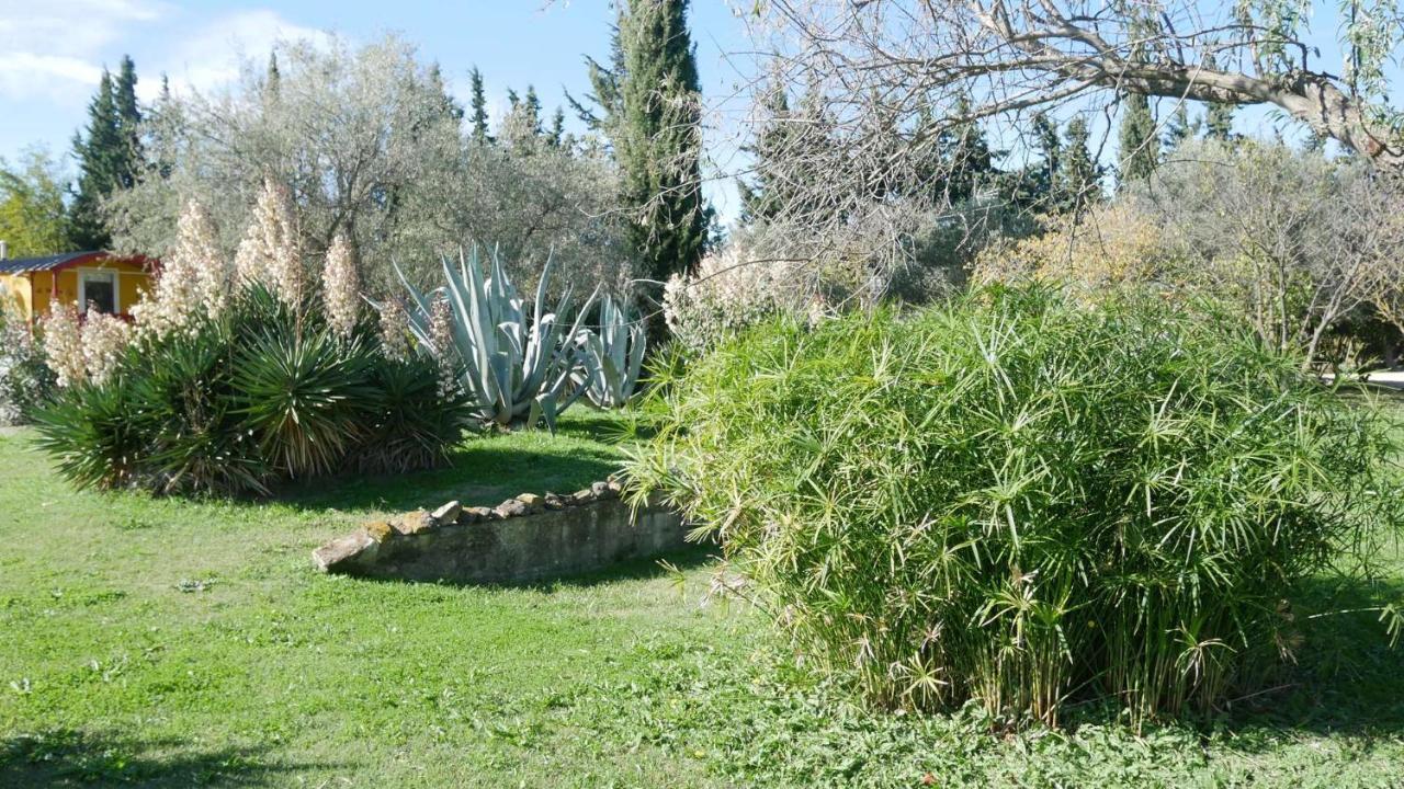 Mas Maurane-Roulotte Avec Spa Prive Aux Portes D'Arles Tarascon Kültér fotó
